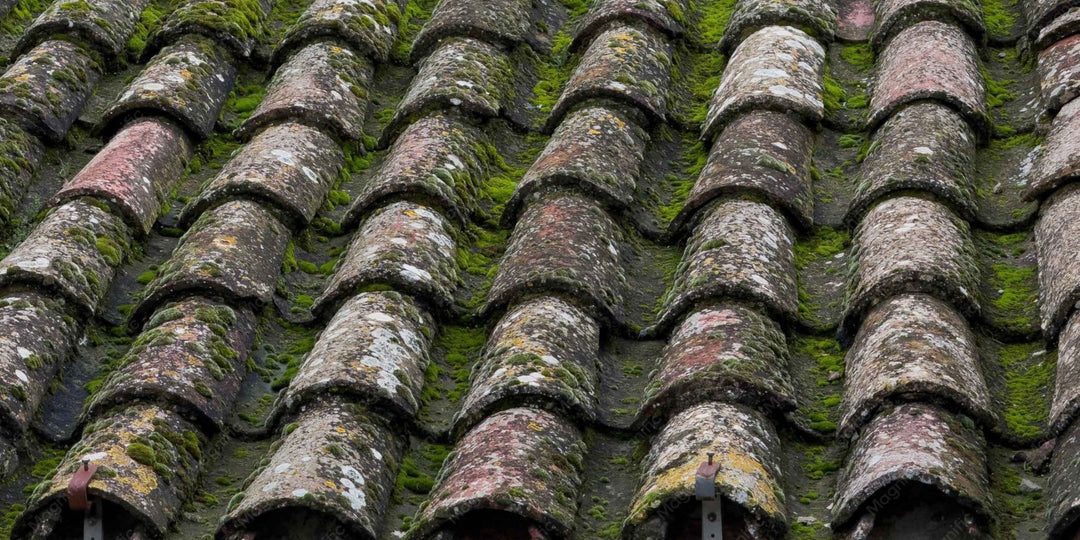 Roof scraping pole system for moss removal and roof cleaning
